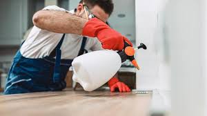 Best Pest Control for Multi-Family Homes  in Grand Ledge, MI